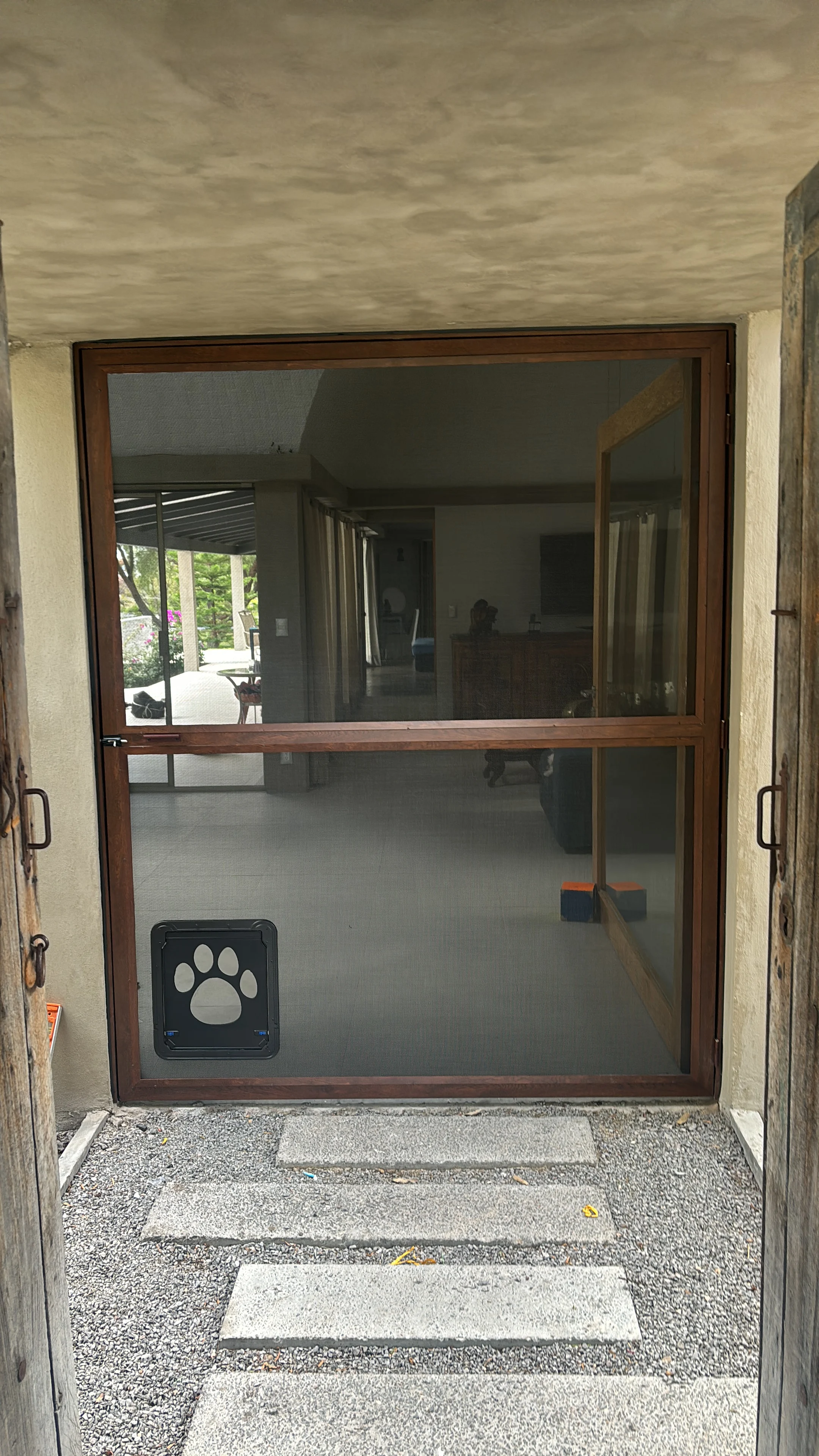 Mosquitero para mascota