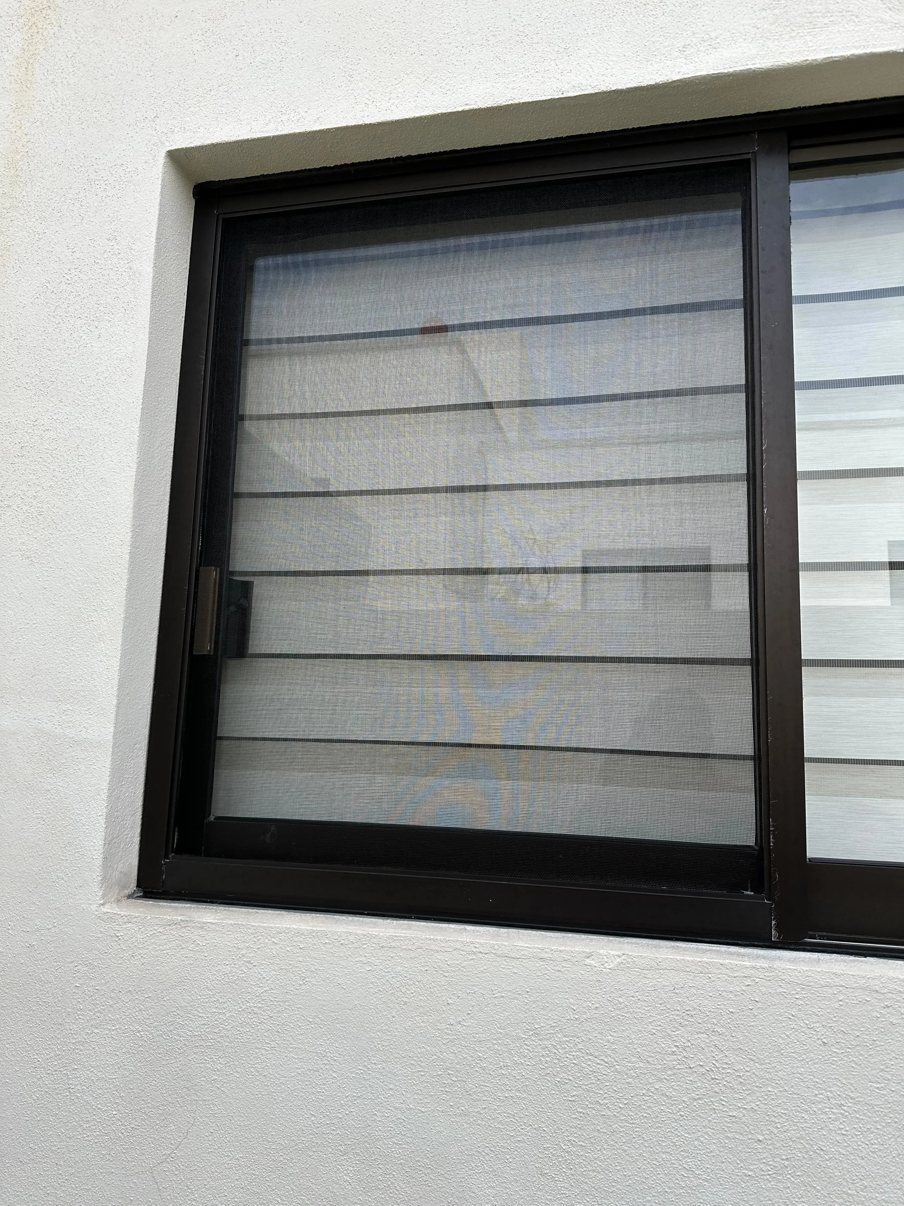 Mosquitero para ventana